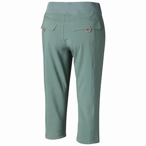 Columbia Pantalones Cortos Bryce Canyon™ Mujer Verdes (593ZFADLY)